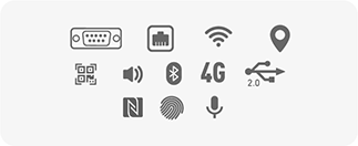 Iconos
