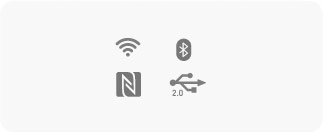 Iconos